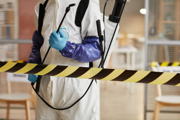 Professional Sewage Cleanup technician working in Athens, TX